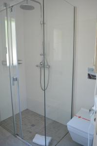 uma casa de banho com um chuveiro e um WC. em Apartamentos Parque Mar em Cala d´Or