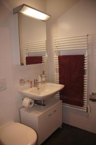 W łazience znajduje się umywalka, toaleta i lustro. w obiekcie Chasa Pro La Tuor Pitschna w mieście Ardez