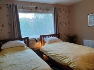 a bedroom with two beds and a window with butterflies on the wall at Skerryvore in Oban