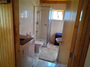 ein Badezimmer mit Dusche, Toilette und Waschbecken in der Unterkunft Cabaña los sauces in Chile Chico