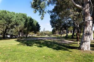 un parque con un árbol en el césped en Tróia Beach House, en Carvalhal