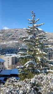 uma árvore de Natal coberta de neve numa montanha em Coquet appartement Type 2 de 56 m² en centre ville em Briançon