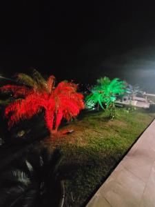 Un jardín fuera de Bas de villa le rêve éveillé