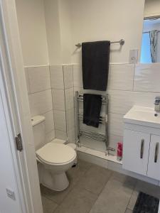 a white bathroom with a toilet and a sink at Modern The Mews Apartment in Bury Saint Edmunds