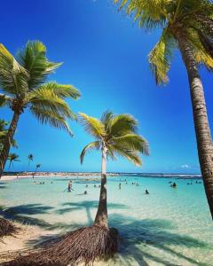 a beach with palm trees and people in the water at Bungalows MALUEVA in Sainte-Anne