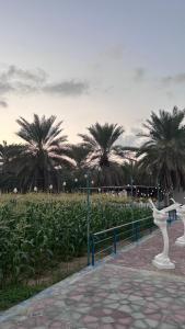 two white statues in front of a field of palm trees at Farm dream in Al Rahba