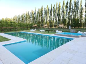 een zwembad met stoelen en bomen op de achtergrond bij Casa de Campo Flor Dorada in Centenario
