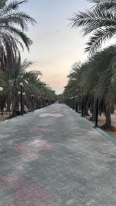 a road lined with palm trees on a beach at Farm dream in Al Rahba