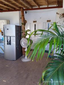 a plant in front of a refrigerator in a room at red moon in Santa Marta