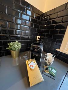 Gallery image of T2 Haut Standing, hypercentre terrasse ascenseur in Tourcoing