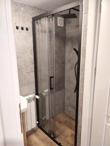 eine Dusche mit Glastür im Bad in der Unterkunft Apartament LoftyDream in Mielec