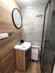 ein Bad mit einem Waschbecken und einer Dusche in der Unterkunft Apartament LoftyDream in Mielec