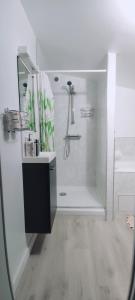 een witte badkamer met een douche en een wastafel bij Studio Propre et Cosy in Le Mesnil-en-Vallée