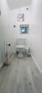 uma casa de banho com um WC branco num quarto em Studio Propre et Cosy em Le Mesnil-en-Vallée