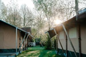 a view of the backyard of a house at Camping de Rammelbeek in Lattrop