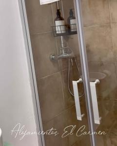 W łazience z przeszklonymi drzwiami znajduje się prysznic. w obiekcie Alojamientos El Carmen w mieście Écija