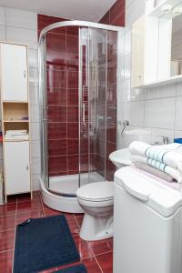 a bathroom with a shower and a toilet and a sink at Apartman Pale in Pale