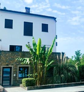 a palm tree in front of a building at Apartments & rooms Artemus Belveder in Koper