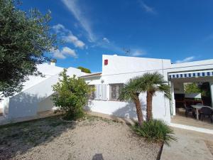 una casa blanca con una palmera delante en Villa Torrents, en Calafat