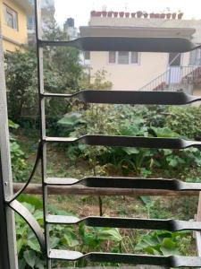 Giardino di Osho Gaurishankar Meditation Center