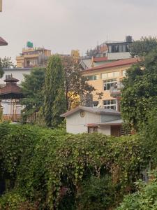 加德滿都的住宿－Osho Gaurishankar Meditation Center，享有拥有建筑和树木的城市美景
