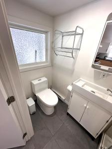 een badkamer met een toilet, een wastafel en een raam bij Petit chalet au bord de la rivière in Saint Mathieu Du Parc