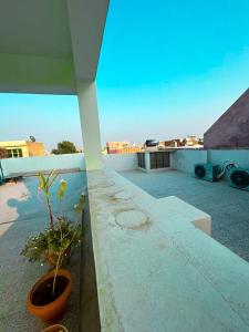 a balcony with a potted plant on a roof at AB guest house { home stay} in Bikaner