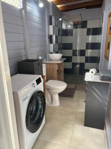 a bathroom with a washing machine and a toilet at Jolie maison de vacances à Pointe-Noire in Pointe-Noire