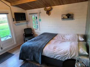 a bedroom with a bed and a tv and a window at Chalets Maria Garden in Zevenbergen