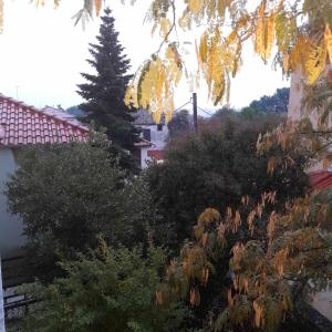 a view from the garden of a house with a tree at PHILOS Apartment in Old Town Xanthi in Xanthi