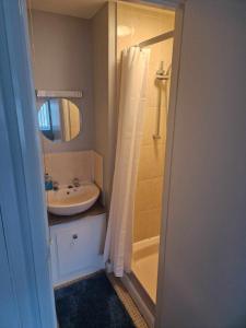 a bathroom with a sink and a shower at The White Lion Inn in Brinklow