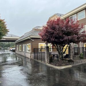 een huis in een regenachtige straat met een boom bij Best Western Columbia River Waterfront Hotel Astoria in Astoria, Oregon