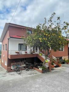 a house with a lemon tree in front of it at Grupo Gontad Alojamiento Rovi in Neaño