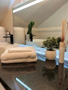 un baño con lavabo y una toalla en la encimera en Appart' Studio cooconing - Champs Elysées - JO 2024, en Maisons-Laffitte
