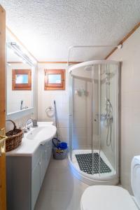 a bathroom with a shower and a sink at Dandy on the hill Chalet Artemis - Fir Forest - Jeep & Nature Lovers in Eptalofos