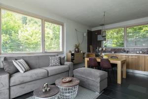 un salon avec un canapé gris et une cuisine dans l'établissement Tre Terre Panorama - Pianello del Lario by LoveComo, à Pianello Del Lario