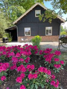 une maison avec des fleurs roses devant elle dans l'établissement Huisje de Stuit, à Otterlo