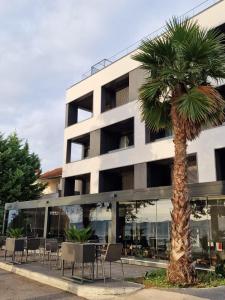 a palm tree in front of a building at La Vista Suites in Zadar