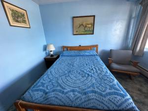 1 dormitorio azul con 1 cama y 1 silla en Maverick Motel, en Ratón