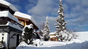 ein schneebedecktes Haus neben zwei Weihnachtsbäumen in der Unterkunft Hotel - Pension - Heidelberg in Ruhpolding