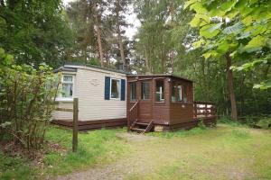 a small cabin in the middle of a forest at Green Shores in Weybourne