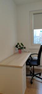 a desk with a chair and a potted plant on it at Komfortables und sauberes Zimmer in Leipzig