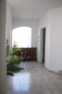 pusty korytarz z dużym oknem i rośliną w obiekcie LYJ HOTEL Hab 21 w mieście Playa del Carmen