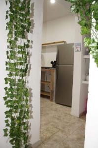 eine Küche mit einem Kühlschrank und einer Pflanze in der Unterkunft LYJ HOTEL Hab 21 in Playa del Carmen