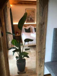 a potted plant in a room with a bedroom at Apartment Stillleben Luxus für die Seele in Abtenau