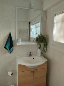 bagno con lavandino e specchio di Chambre privée avec parking a Nîmes