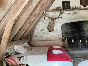 Dormitorio con cama con cabeza de ciervo en la pared en LE BURON DE PERRIER, en Saint-Urcize