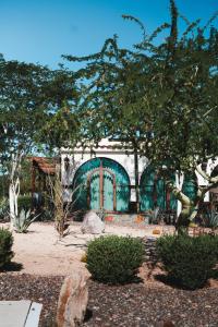 Сад в Orchid House Baja