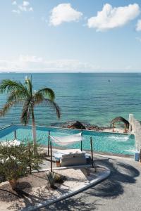 einen Pool mit einer Hängematte, einer Palme und dem Meer in der Unterkunft Orchid House Baja in La Paz