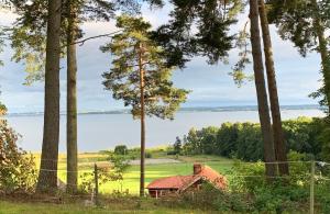 a house in the woods with a view of the water at Flemma Gård The lake view with sauna in Vreta Kloster